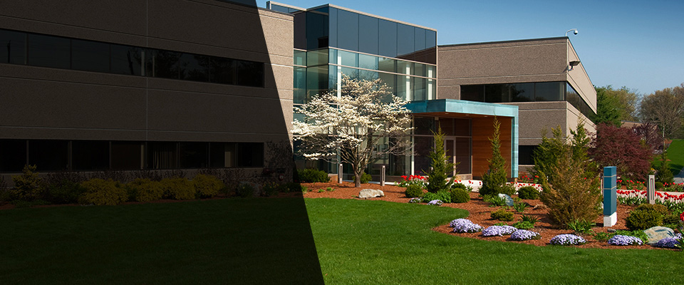 Hammonton Landscapers