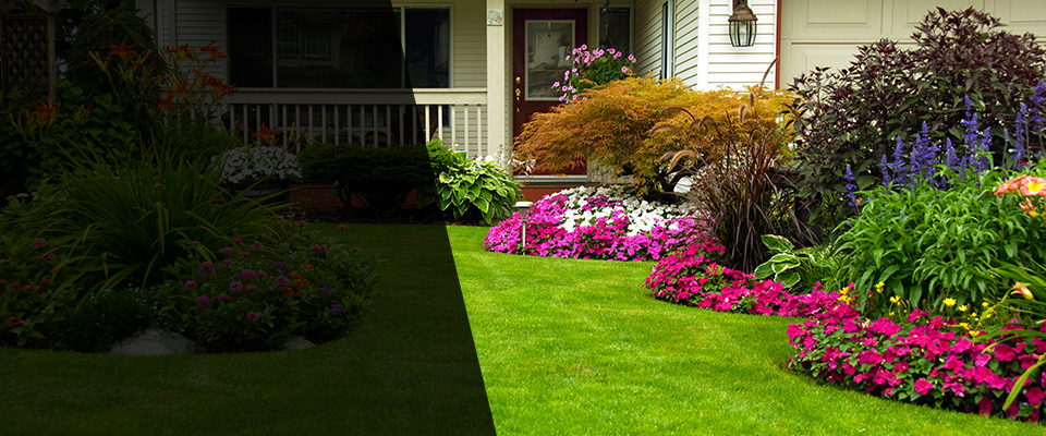 Hammonton Landscapers