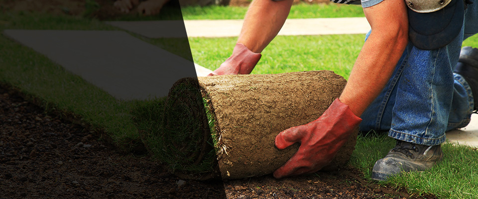 Hammonton Landscapers